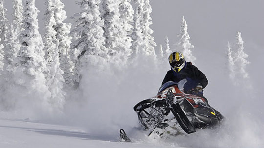 snowmobiling activities in jackson hole winter