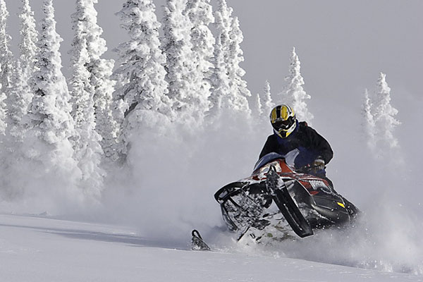 snowmobiling activities in jackson hole winter