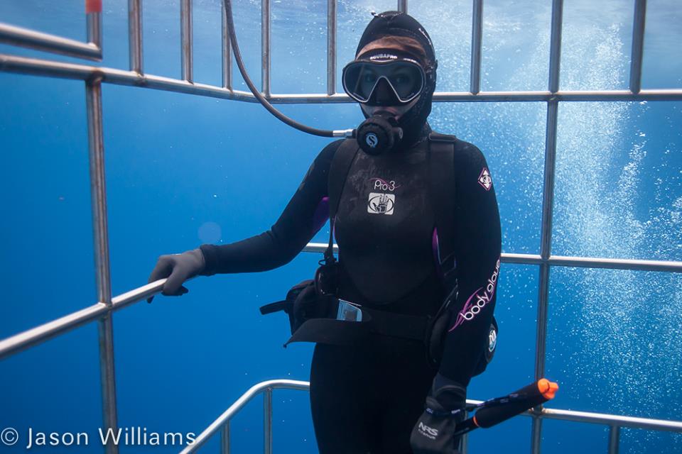 Office manager Carrie Wild on the lookout for great whites (this was her first scuba experience and she passed her discover scuba challenges while in a cage surrounded by sharks!) Image by Jason Williams