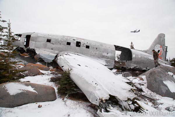 Crashed airplane known as Miss Piggy in Churchill Manitoba Miss Piggy in Churchill is a good place to see polar bears