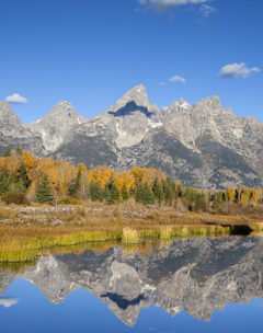 The Grand Teton Mountain Range Is Reflected In The Snake River