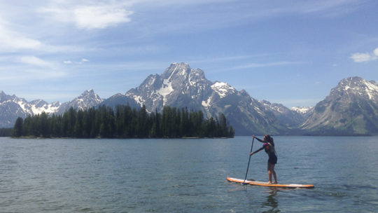 A Paddle Boarder Glides Across Jackson Lake In Front Of The Grand Tetons