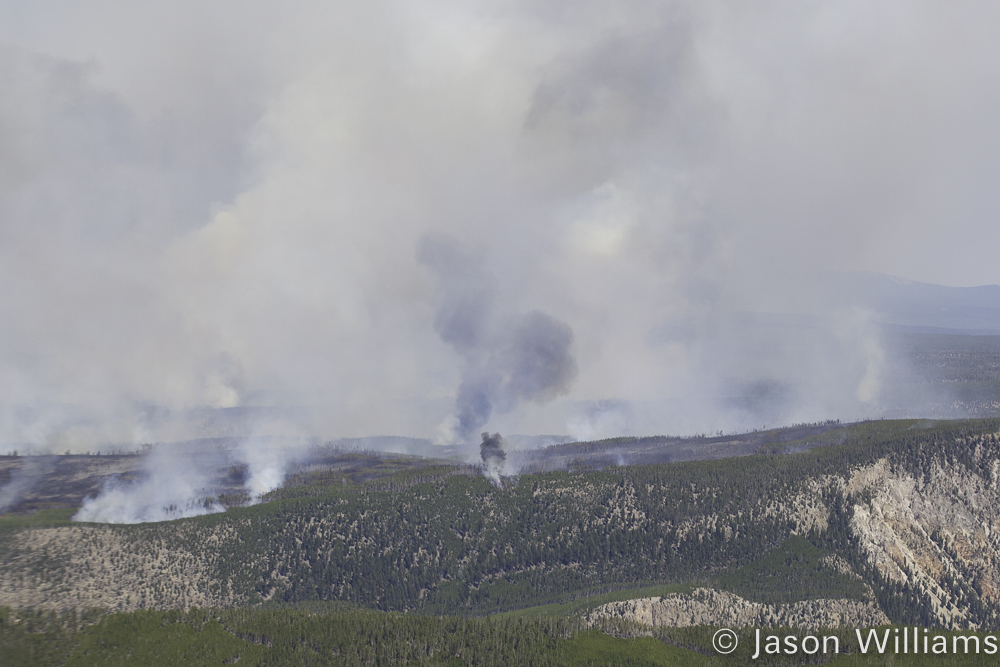 The southern boundary of the Maple Fire in Yellowstone National Park
