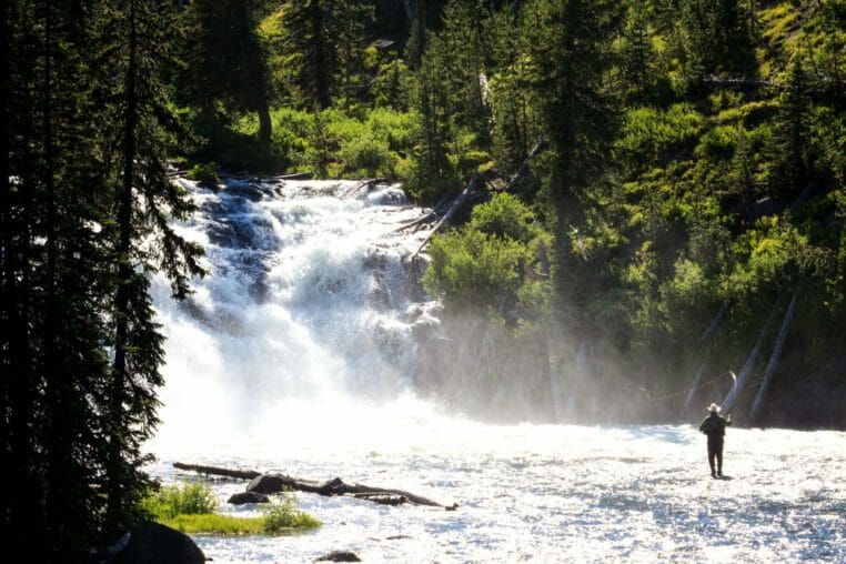 Fishing below Lewis Falls in Yellowstone National Park