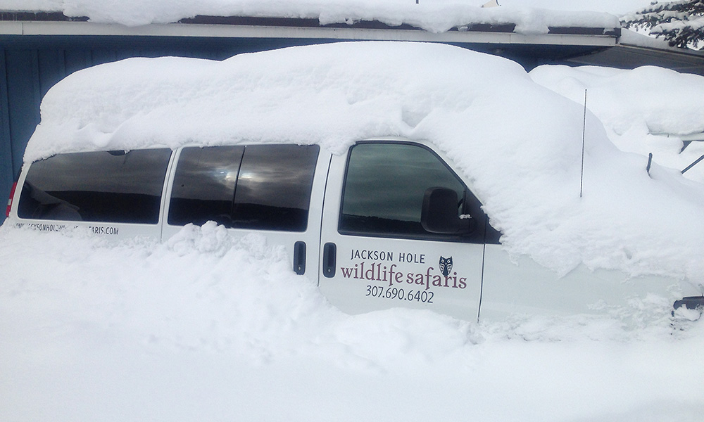 A Jackson Hole Wildlife Safaris Van Sits Buried In The Snow After A Winter Snow Storm