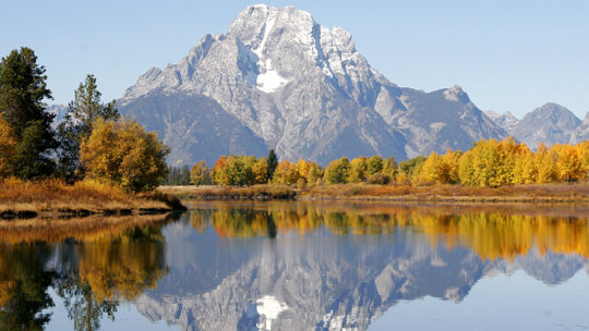 Mount Moran With Fall Foliage Is Reflected In The Snake River At The Oxbow Bend In Grand Teton National Park