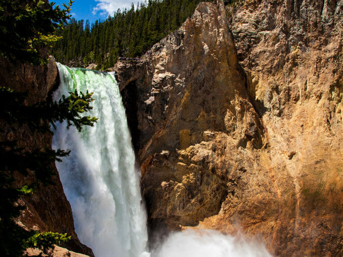 Lower Falls in Yellowstone National Park