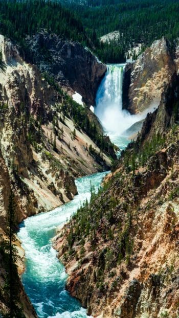 Grand Canyon Of Yellowstone Featuring Lower Falls in Yellowstone National Park
